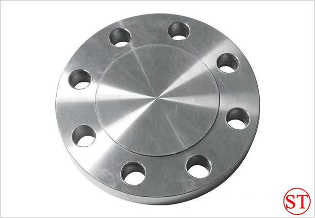 blind flange (13) blind flange (13)