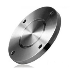 ANSI SS304 SS316L Stainless Steel Flange